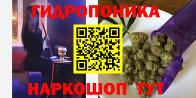 сатива Кинель