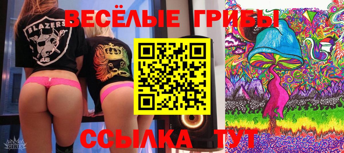 где найти наркотики  Вход с VPN  Костомукша  Галлюциногенные грибы MAGIC MUSHROOMS 